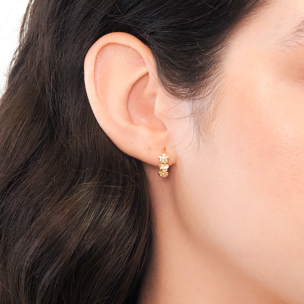 Argola florzinhas dourado